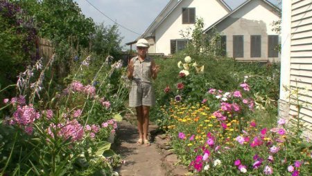 Сад и огород: Всё о выращивании георгин