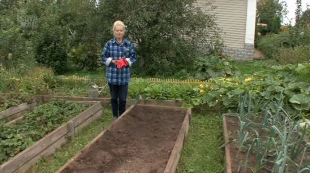Сад и огород: Все о выращивании зелени