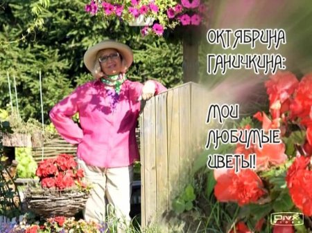 Сад и огород: Октябрина Ганичкина. Мои любимые цветы