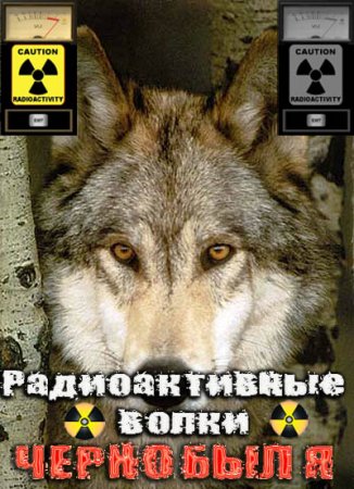 В хорошем качестве Радиоактивные волки Чернобыля (2011)
