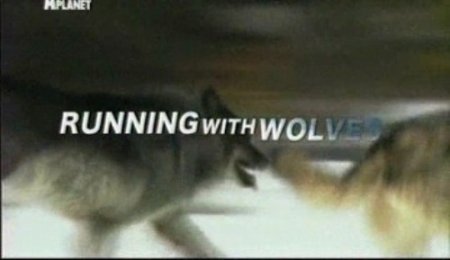 В хорошем качестве Бег с волками / Running with Wolves (2010)