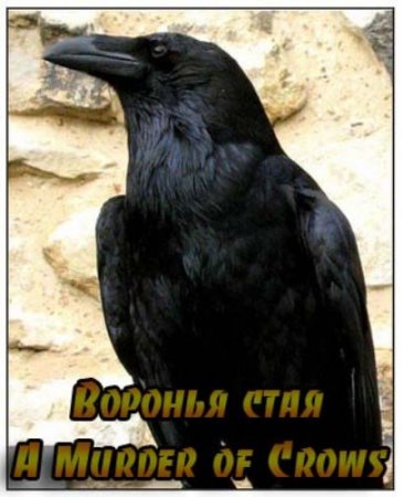 В хорошем качестве Воронья стая / A Murder of Crows (2009)