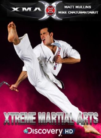 Боевые искусства: Экстремальные боевые искусства (2003)