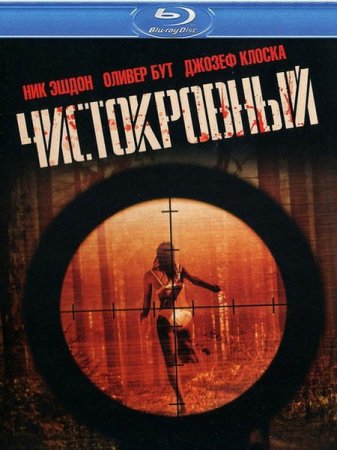 Скачать с letitbit Чистокровный (2011)