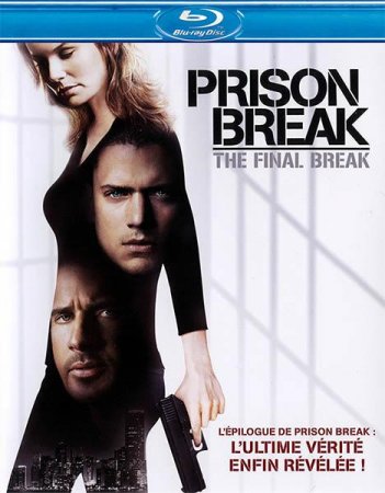 Скачать с letitbit  Побег из тюрьмы: Финальный побег / Prison Break: The Final Break (2009)