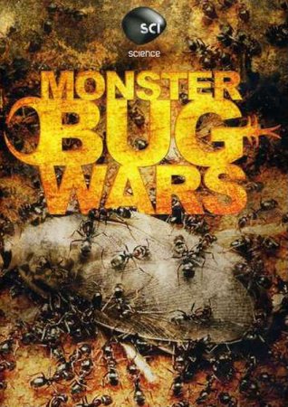 Скачать с letitbit  Войны жуков-гигантов / Monster bug wars (2011) SATRip