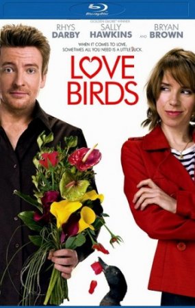 В хорошем качестве Любовные пташки (2011)