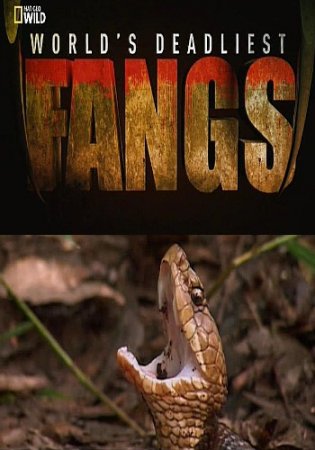Самые опасные животные: Ядовитый зуб / Fangs (2012) SATRip