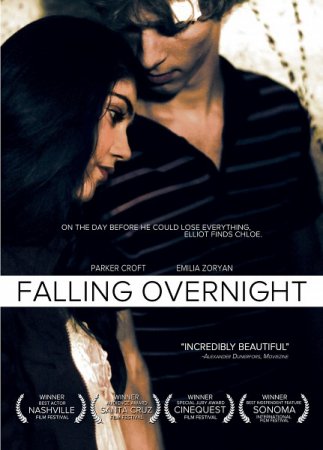 В хорошем качестве Накануне вечером / Falling Overnight (2011)