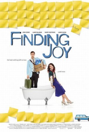 В хорошем качестве  В поисках радости / Finding Joy (2013)