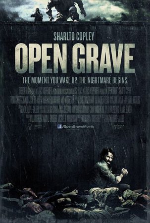 В хорошем качестве Открытая могила / Open Grave (2013)