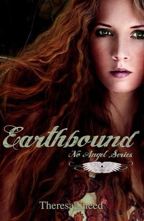 В хорошем качестве На Землю / Earthbound (2012)