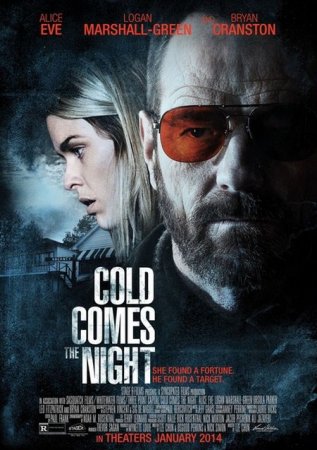В хорошем качестве Взгляд зимы / Cold Comes the Night (2013)
