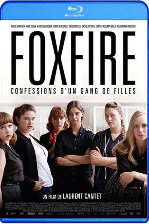 В хорошем качестве Фоксфайр, признание банды девушек / Foxfire (2012)