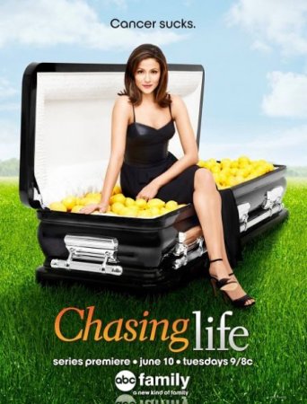 Сериал Погоня за жизнью / Chasing Life - 1 cезон (2014)