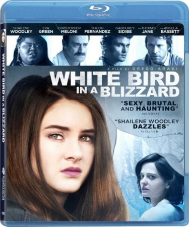 В хорошем качестве Белая птица в метели (2014)
