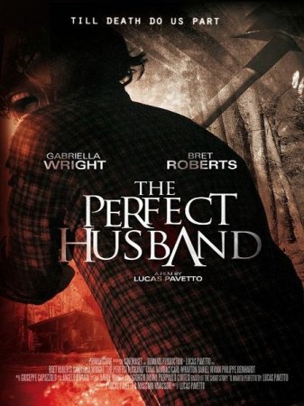 В хорошем качестве Идеальный муж (2014)