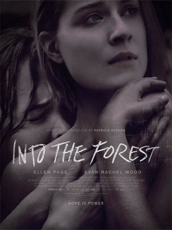 В хорошем качестве В лесу / Into the Forest (2015)