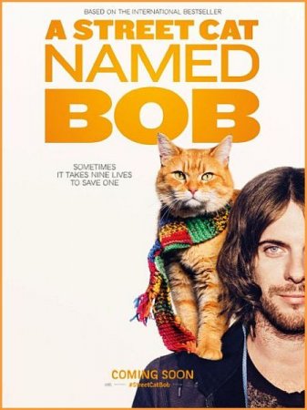В хорошем качестве Уличный кот по кличке Боб / A Street Cat Named Bob (2016)