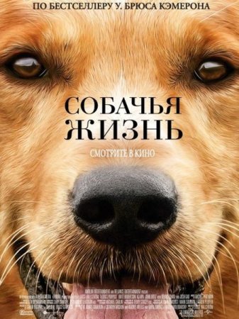 В хорошем качестве Собачья жизнь / A Dog's Purpose (2017)