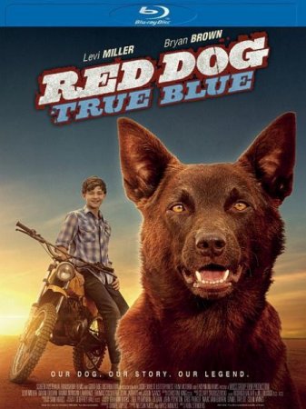 В хорошем качестве Рыжий: вся правда / Red Dog: True Blue (2016)