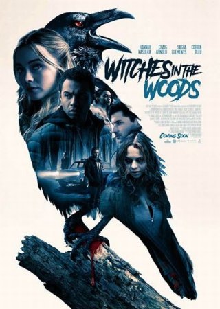 В хорошем качестве Ведьмы в лесу / Witches in the Woods (2019)
