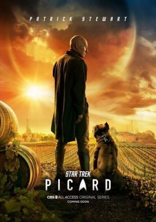 Сериал Звёздный путь: Пикар / Star Trek: Picard - 1 сезон (2020)