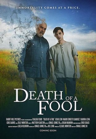 В хорошем качестве Обмануть смерть / Death of a Fool (2020)