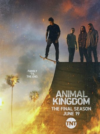 Сериал По волчьим законам / Animal Kingdom - 6 сезон (2022)