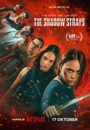 В хорошем качестве Блуждающая тень / The Shadow Strays (2024)